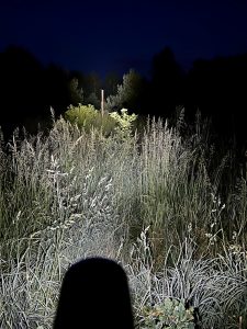 VARTA F40 NIGHT CUTTER Taschenlampe im Test