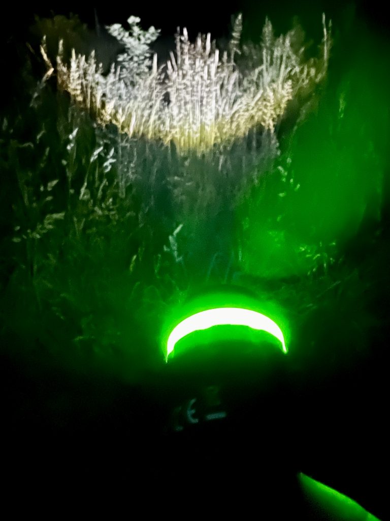 Mini-LED-Taschenlampe Zoom Flashlight von HyCell im Test