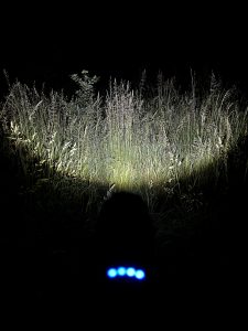 Blukar K9137 Taschenlampe im Test