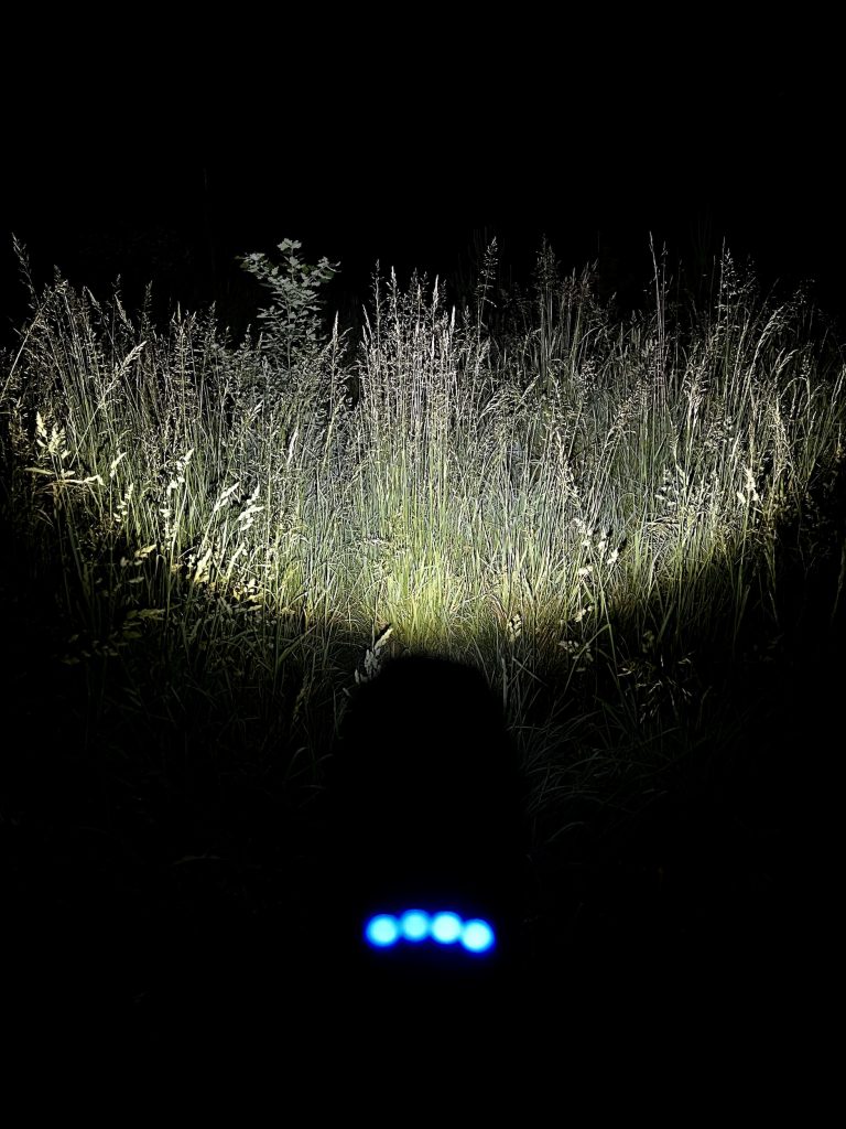Blukar K9137 Taschenlampe im Test
