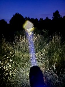 Blukar K9137 Taschenlampe im Test