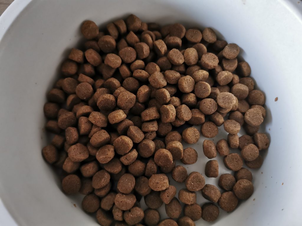 Irish Pure Adult Hundetrockenfutter Pellets im Napf