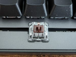 Leertaste der Sharkoon Skiller SGK20 Gaming-Tastatur ohne Tastenkappe und RGB-Beleuchtung