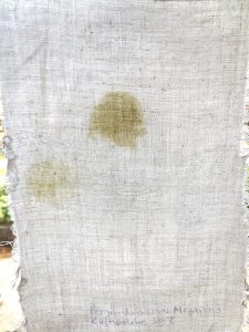 Persil Universal Megaperls Waschmittel, Ergebnis Waschtest 30 Grad, Durchsicht