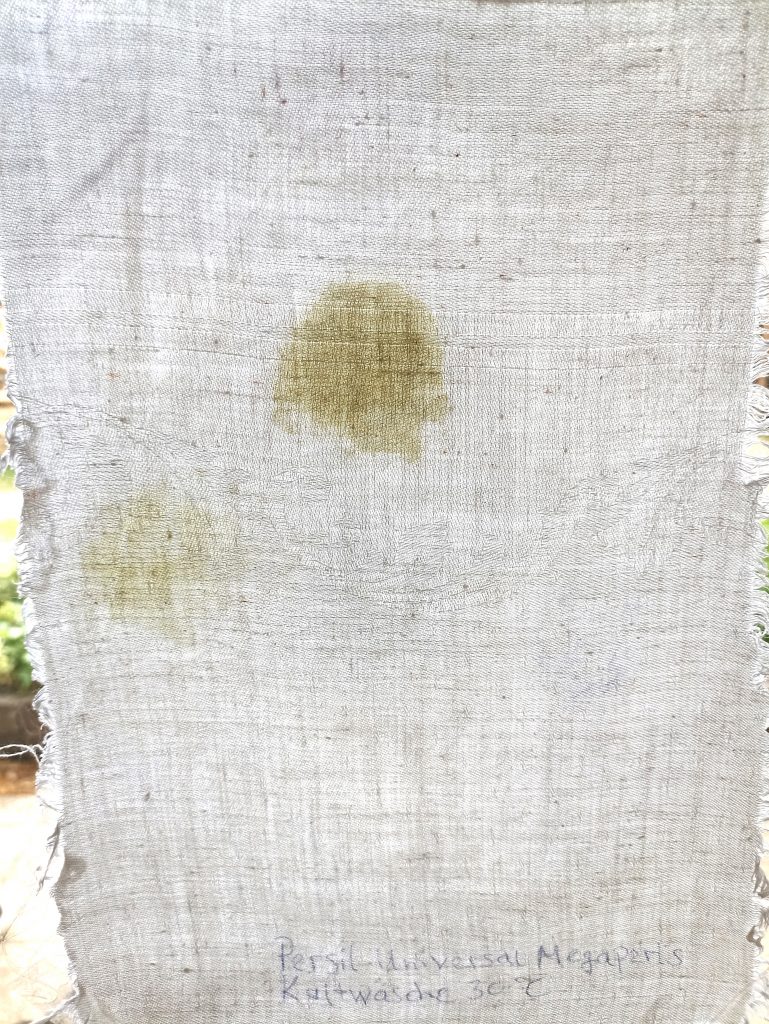 Persil Universal Megaperls Waschmittel, Ergebnis Waschtest 30 Grad, Durchsicht