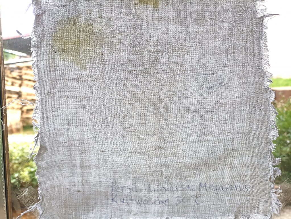 Persil Universal Megaperls Waschmittel, Ergebnis Waschtest 30 Grad, Durchsicht, unterer Abschnitt