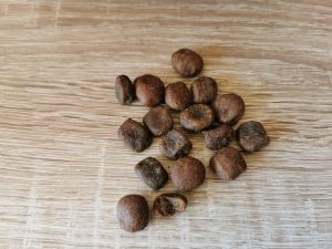 Rinti Max-I-Mum Rind Hundetrockenfutter in Tüte