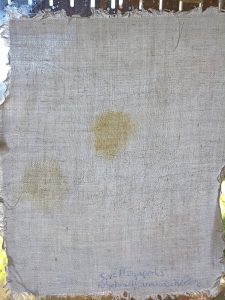 Spee Megaperls Color 4+1 Waschmittel, Warmwäsche 60 Grad, Ergebnis im Durchlicht