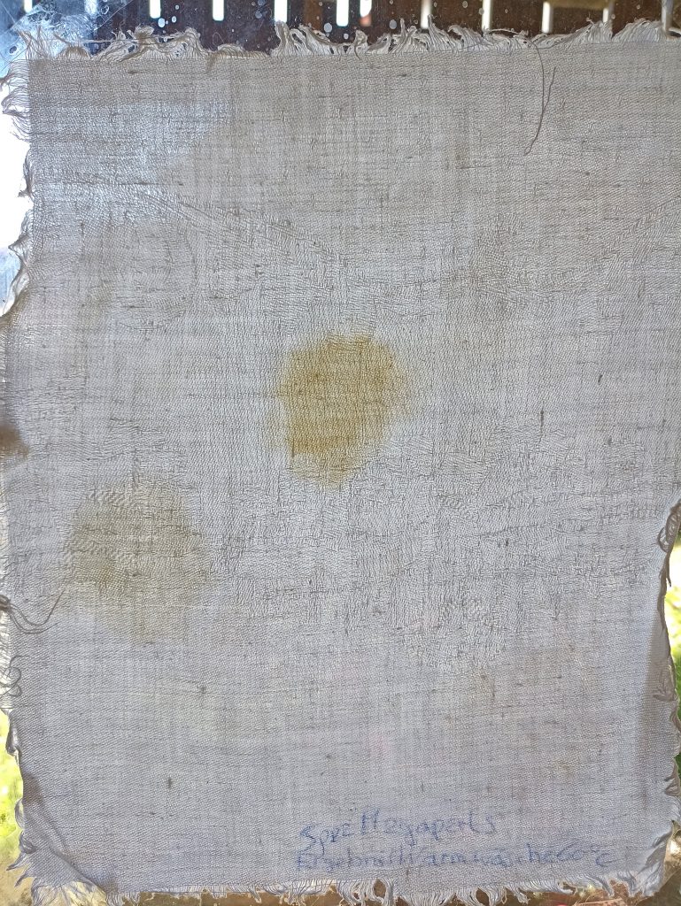 Spee Megaperls Color 4+1 Waschmittel, Warmwäsche 60 Grad, Ergebnis im Durchlicht