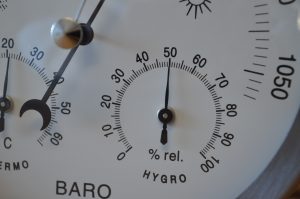 GardenMate Hygrometer und Barometer Detailansicht Luftfeuchtigkeit