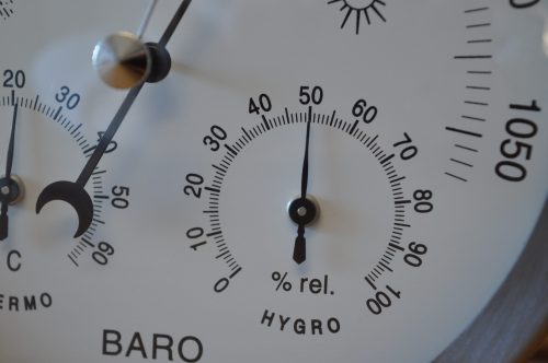 GardenMate Hygrometer und Barometer Detailansicht Luftfeuchtigkeit
