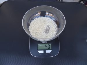 Beurer Küchenwaage Test Messgenauigkeit ohne Hintergrundbeleuchtung