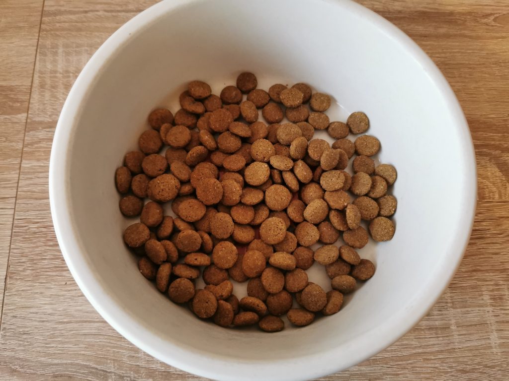 mera Pure Sensitive Insect Protein Hundefutter im Napf