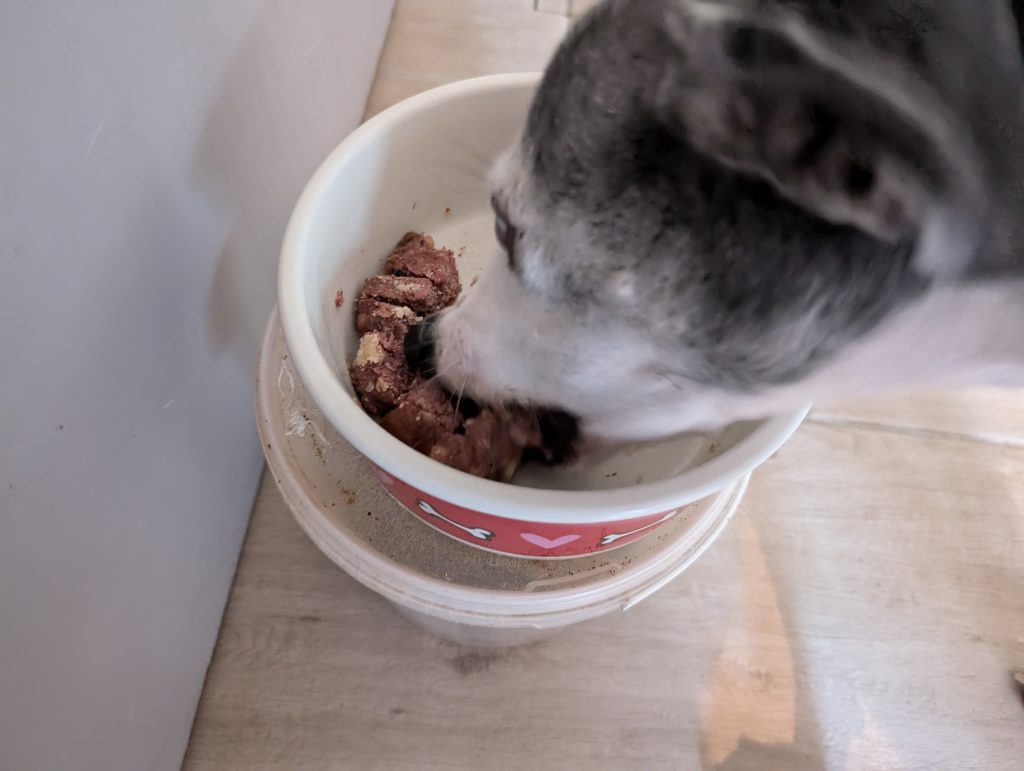 Belcando Frischebeutel Rind mit Spätzle & Zucchini Hund frisst