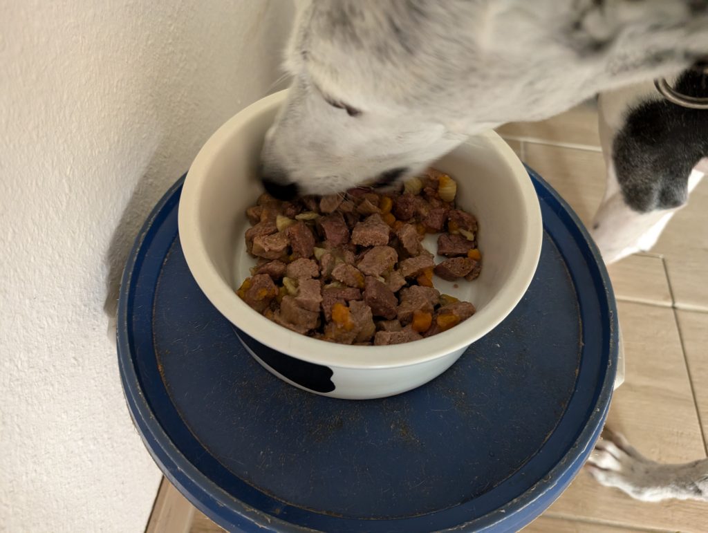 Edeka Feine Mahlzeit mit Lamm, Huhn, Nudeln & Karotten Hund frisst