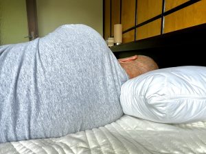Siebenschläfer Mikrofaser Kopfkissen