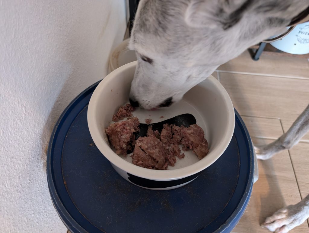 MjamMjam Premium Nassfutter Hundefutter Hund frisst