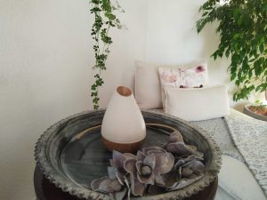 Titelbild Promed AL-1300 WS Luftbefeuchter