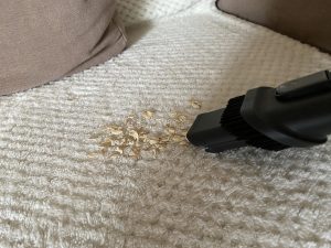 Proscenic P11 Mopping Akku-Staubsauger beim Saugen 3