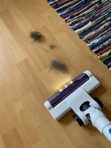 Eureka BR5 Akku-Staubsauger Saugen Tierhaare 1