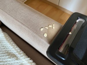 Rowenta RH98A8wo X-Force Flex 12.60 Akku-Staubsauger beim Saugen 4