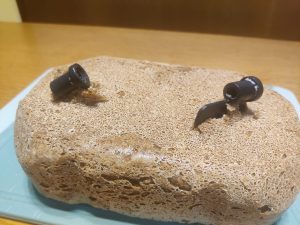 Arebos 4260627427741 Brotbackautomat Knethaken beim Entfernen