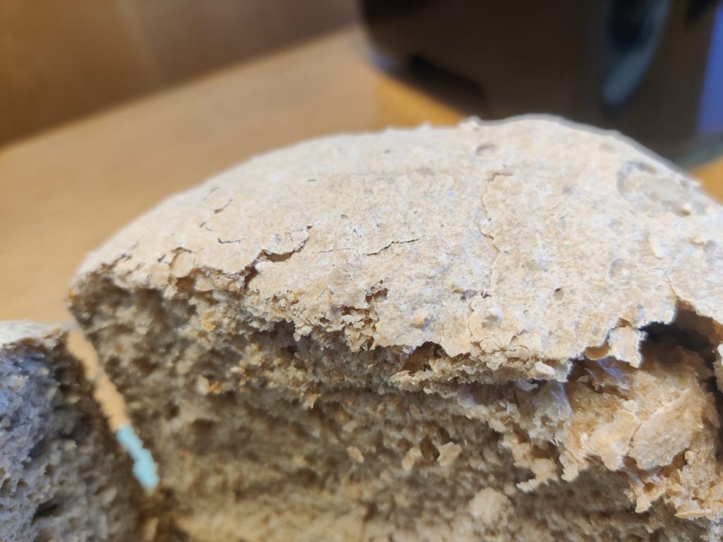Clatronic BBA 3774 Brotbackautomat fertiges Brot mit Kruste