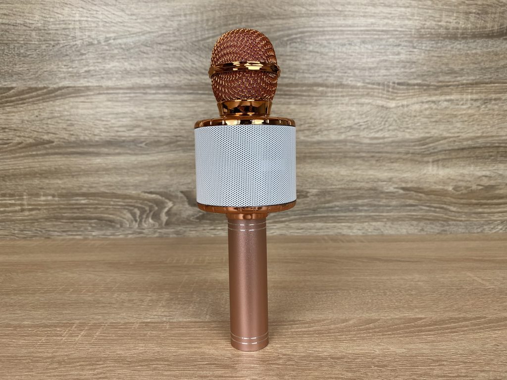 Fede WS-858L Mikrofon Rückseite