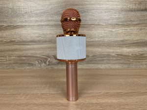 Fede WS-858L Mikrofon Rückseite