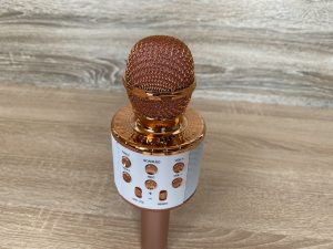 Fede WS-858L Mikrofon Detail Oberseite