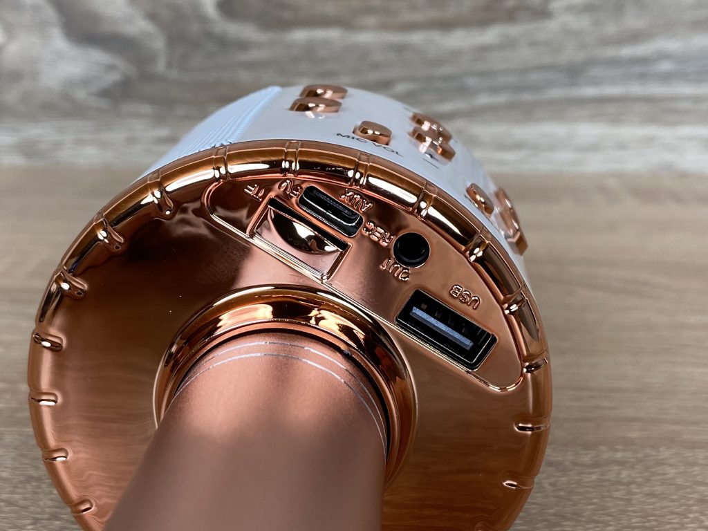 Fede WS-858L Mikrofon Detail Anschlüsse