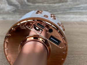 Fede WS-858L Mikrofon Detail Anschlüsse