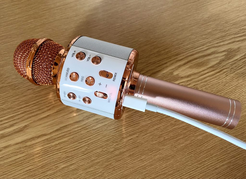 Fede WS-858L Mikrofon beim Laden