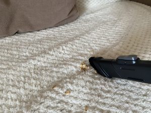 AEG QX6-1-45AN Akku Staubsauger Saugen mit Fugendüse 2