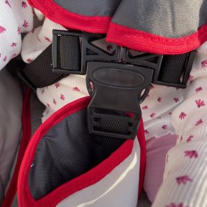 Bergsteiger Kinderwagen Babywagen Capri 3in1 Kind angeschnallt