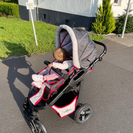 Bergsteiger Kinderwagen Babywagen Capri 3in1 Sportsitz
