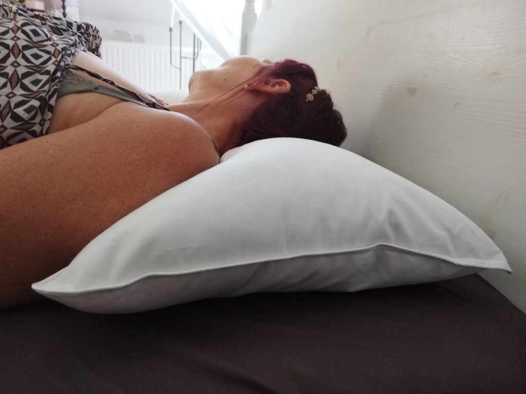 Bruno Bärenweich Kopfkissen Test