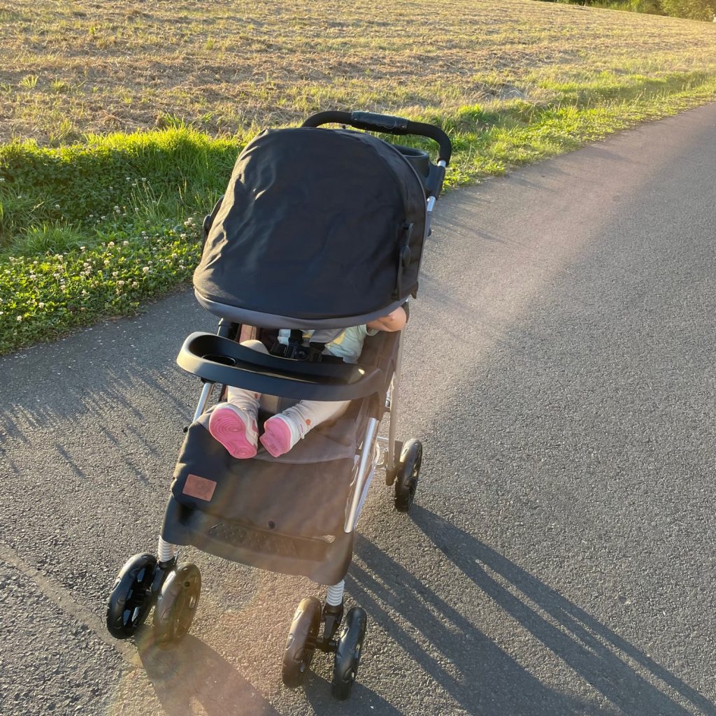 Lionelo Emma Plus Kinderwagen Test