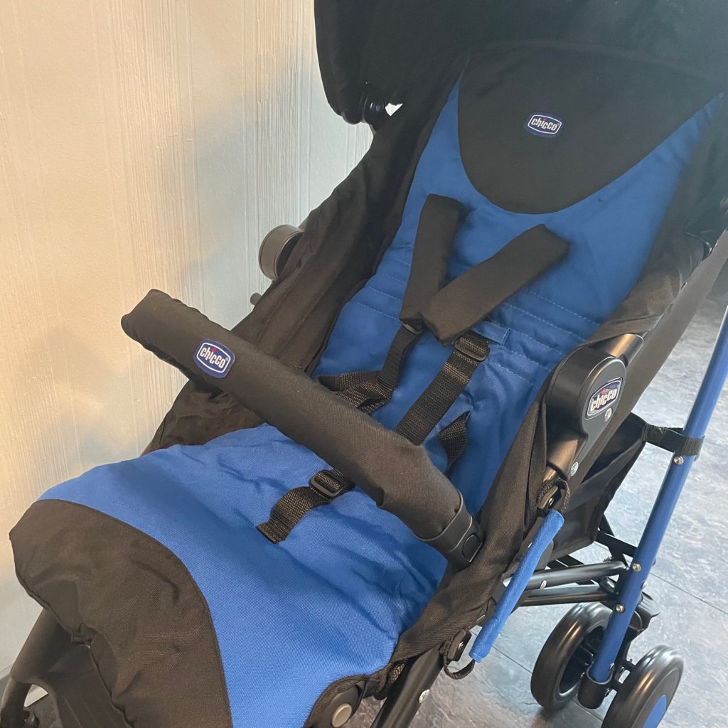Chicco Echo Buggy Sitz