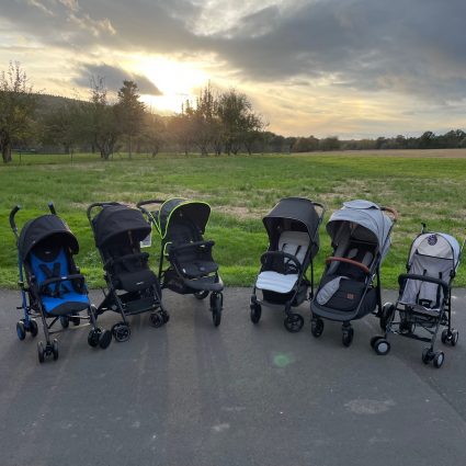 Gruppenfoto Buggy-Test