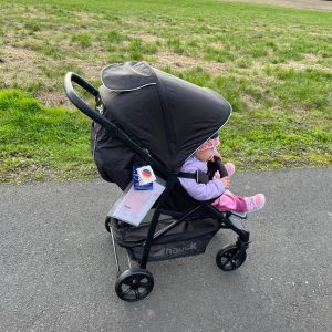 Hauck Rapid 4 Buggy im Test