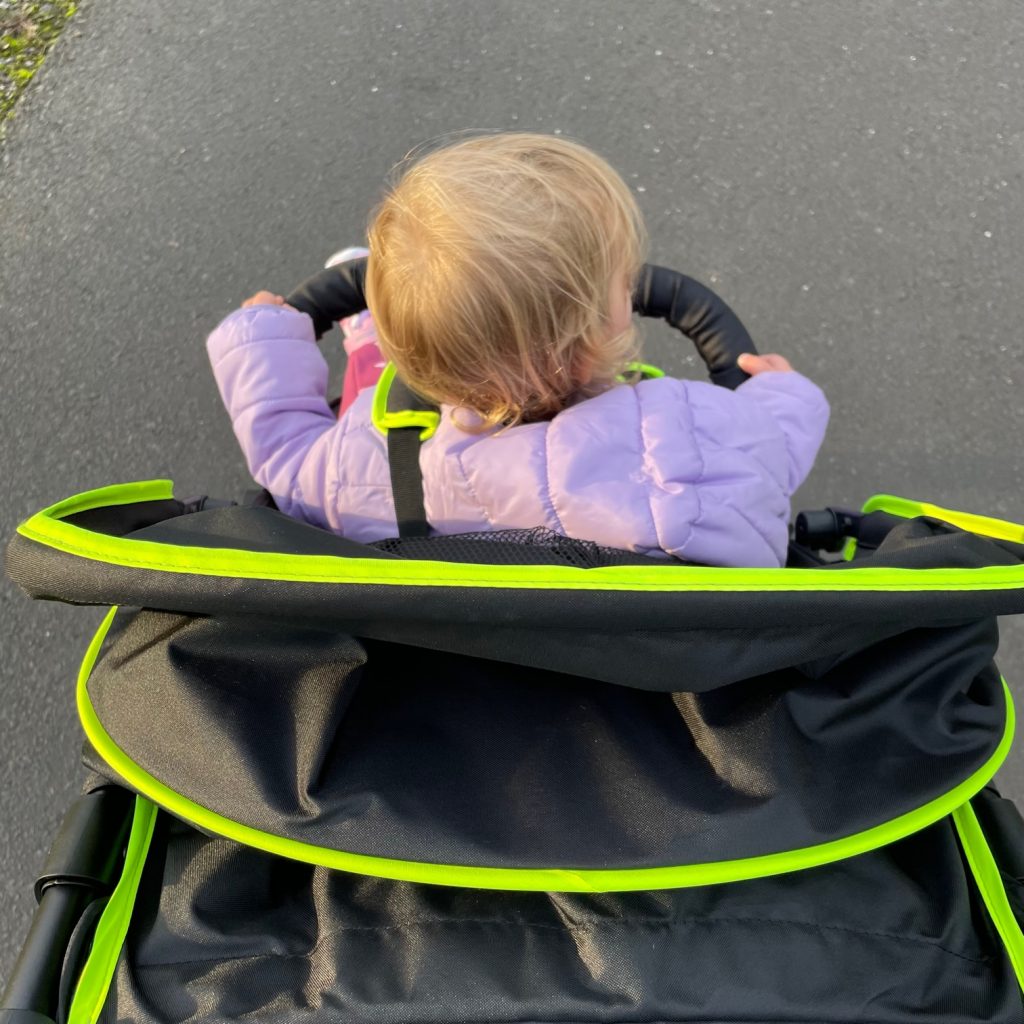 Hauck Runner Buggy Blick aufs Kind