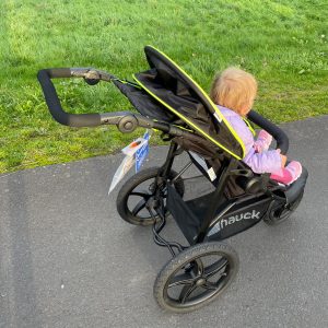 10 beste Buggys im Test inklusive Testsieger [jahr]