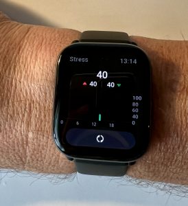 Amazfit Active Smartwatch Stressanzeige