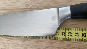 PAUDIN Küchenmesser Klingenlänge