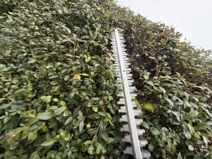 Litheli U20 U20HT00-OU110 Akku-Heckenschere beim Hecke schneiden 2