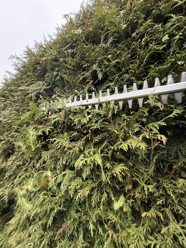 Litheli U20 U20HT00-OU110 Akku-Heckenschere beim Hecke schneiden 5