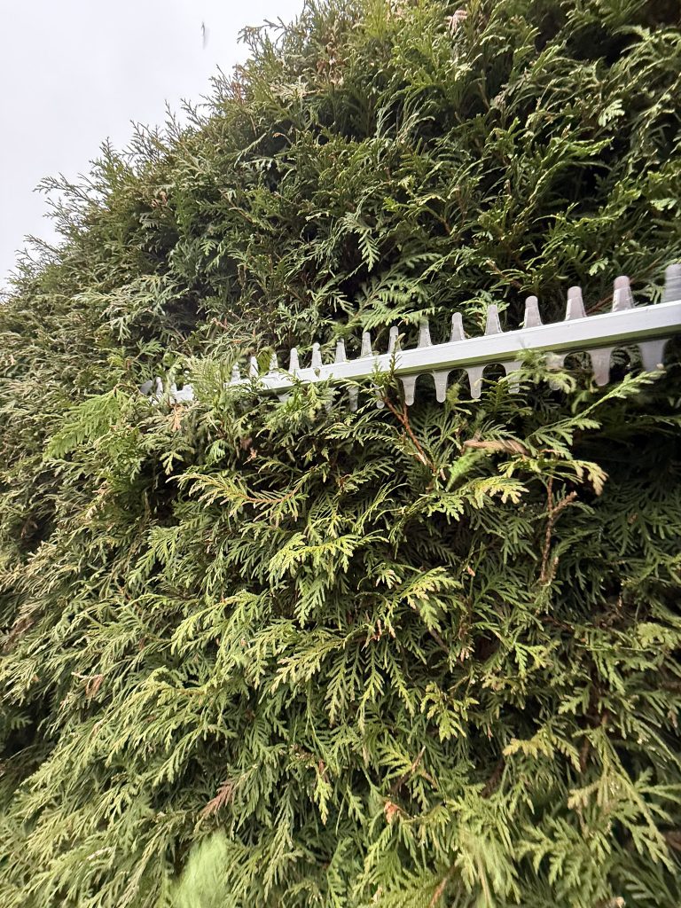 Litheli U20 U20HT00-OU110 Akku-Heckenschere beim Hecke schneiden 6