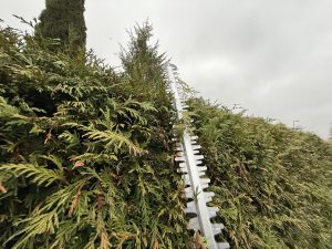 Litheli U20 U20HT00-OU110 Akku-Heckenschere beim Hecke schneiden 7