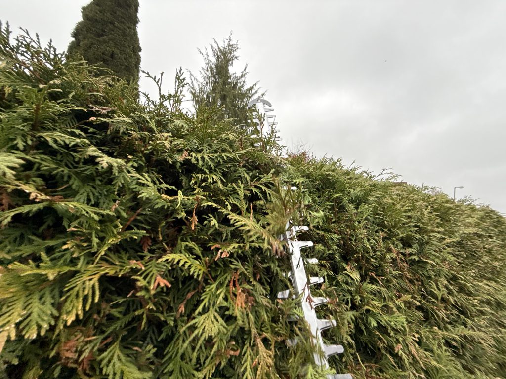 Litheli U20 U20HT00-OU110 Akku-Heckenschere beim Hecke schneiden 8